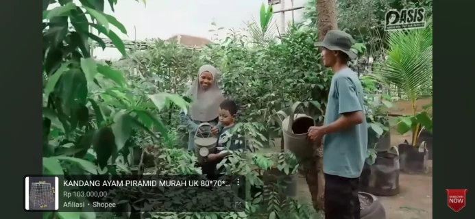 Belajar dari Yoso Farm: Pasangan Hidup Tanpa Uang, Bertahan dari Kebun dan Ternak di Pekarangan